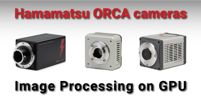 Hamamatsu ORCA image processing